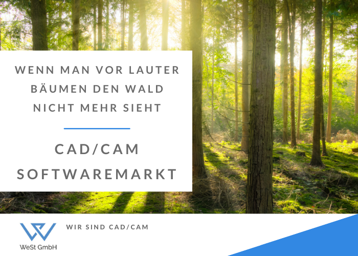  Den Wald vor lauter Bäumen nicht sehen 